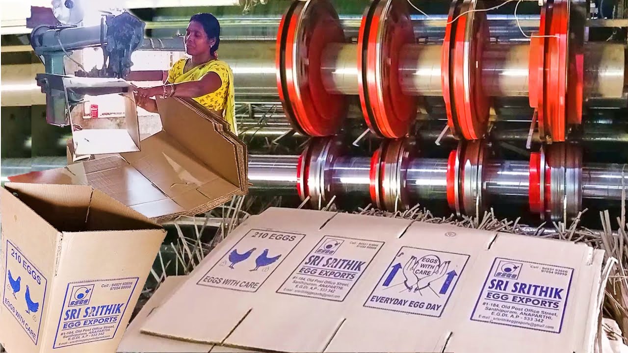 10000 EGG CORRUGATED BOXES MAKING AUTOMATED MACHINE | Small Scale Industry