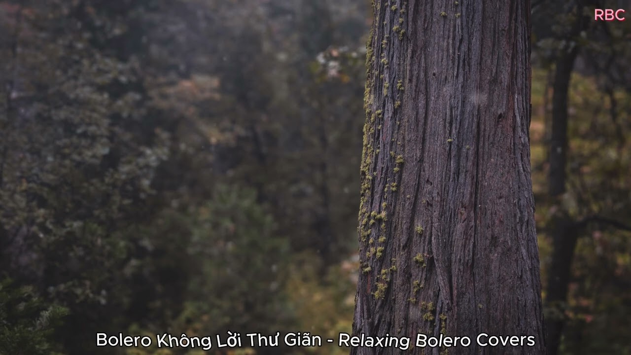 Bolero Không Lời Thư Giãn (Nhẹ Nhàng, Trữ Tình) - Relaxing Bolero Covers - RBC #25