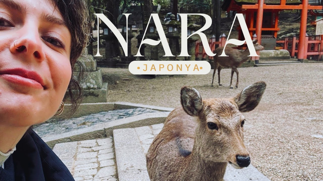 Geyiklerin Şehri Nara! 🦌 Dev Buddha ve Japon Tatlıları | Japonya Vlog