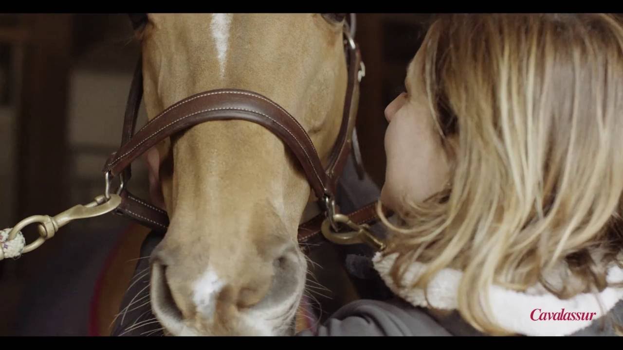 Les conseils de Cavalassur: Bien préparer son cheval pour un transport