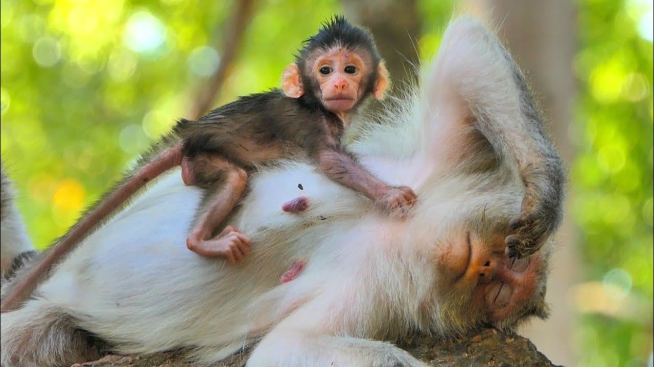 F168-B8- It's time Button is making funny with her baby is son good