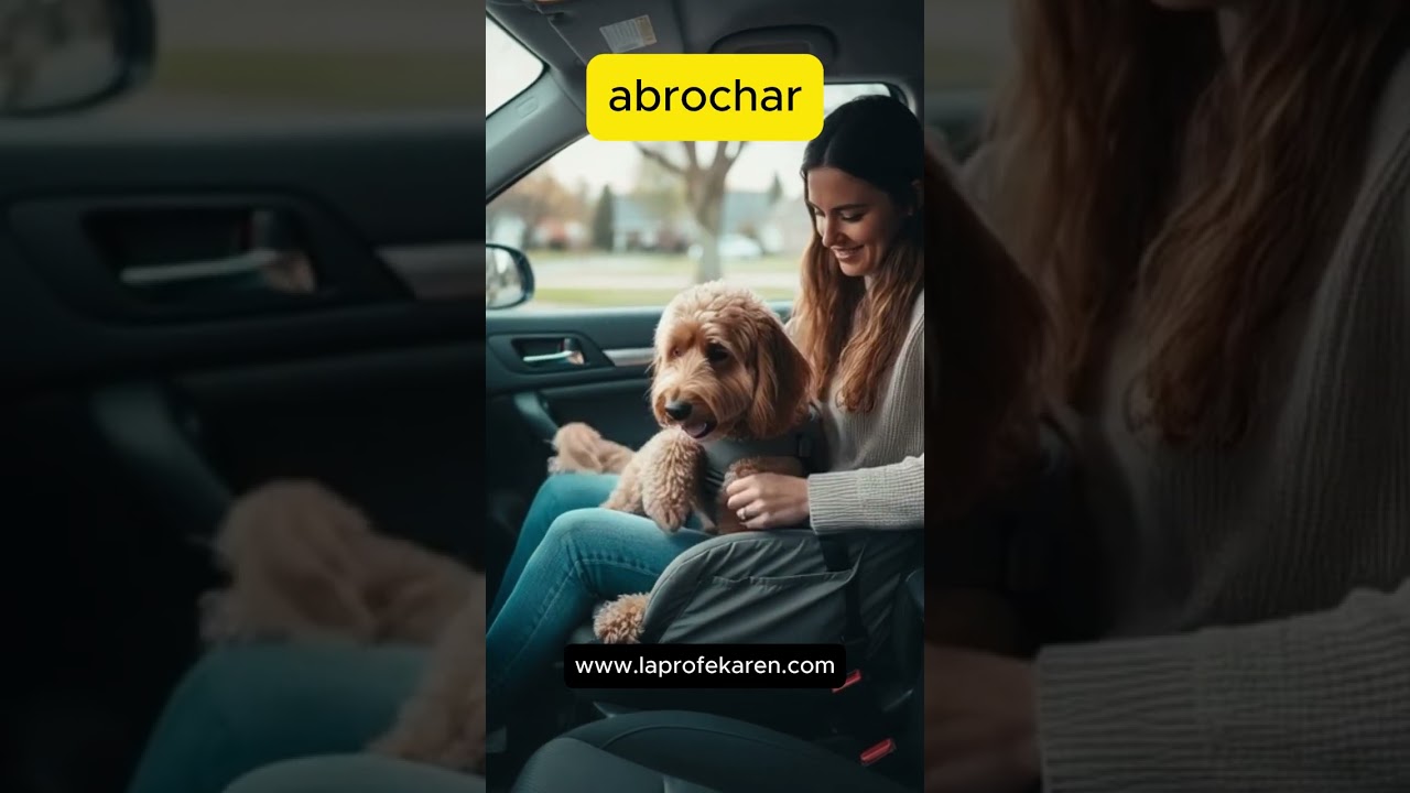 Learn Basic Verbs in 