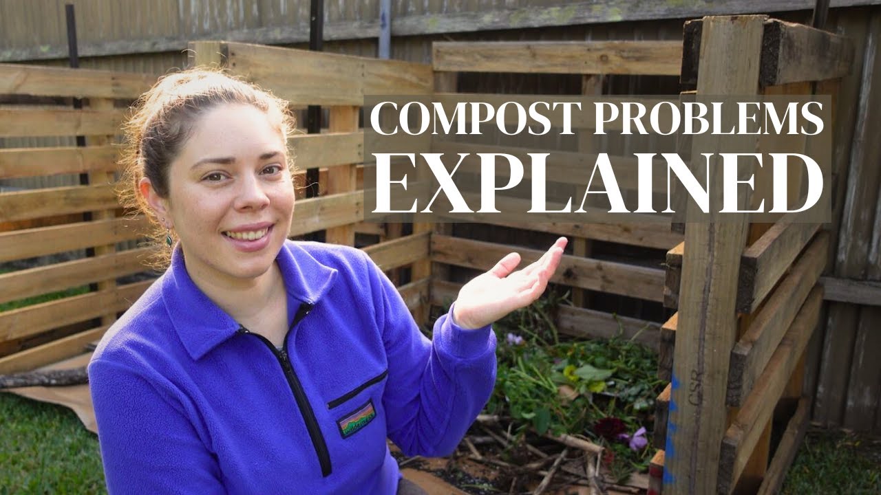 Commonly Asked Compost Questions 🌱🌿 Composting in the Garden Made Simple