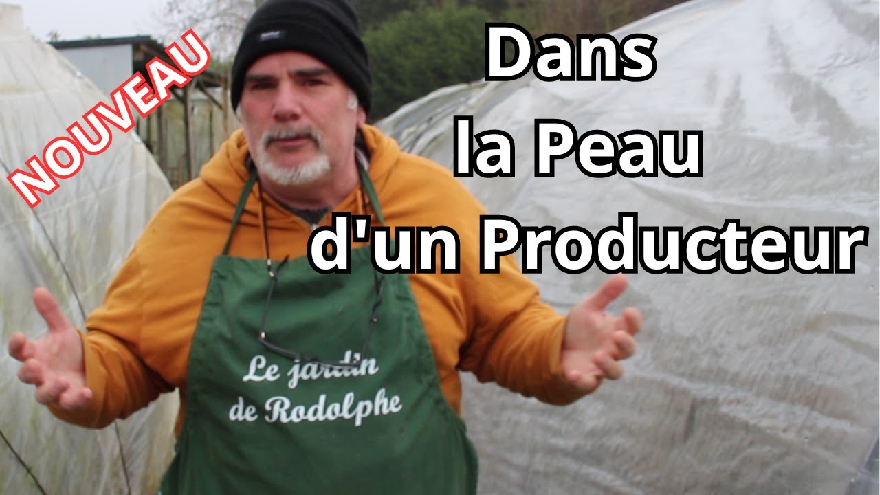 Voulez-Vous Plonger dans Mon Quotidien de Producteur ?