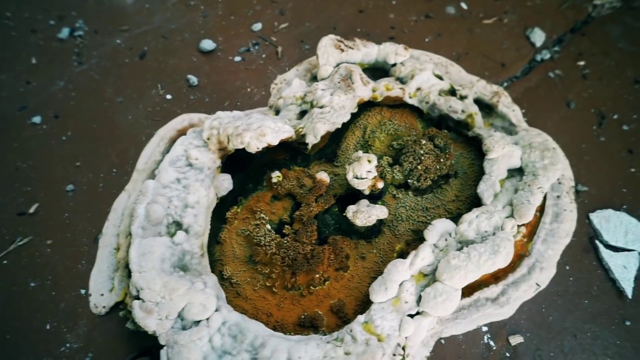 НАШЛА СТРАШНУЮ ЗАБРОШЕННУЮ ШКОЛУ !!!