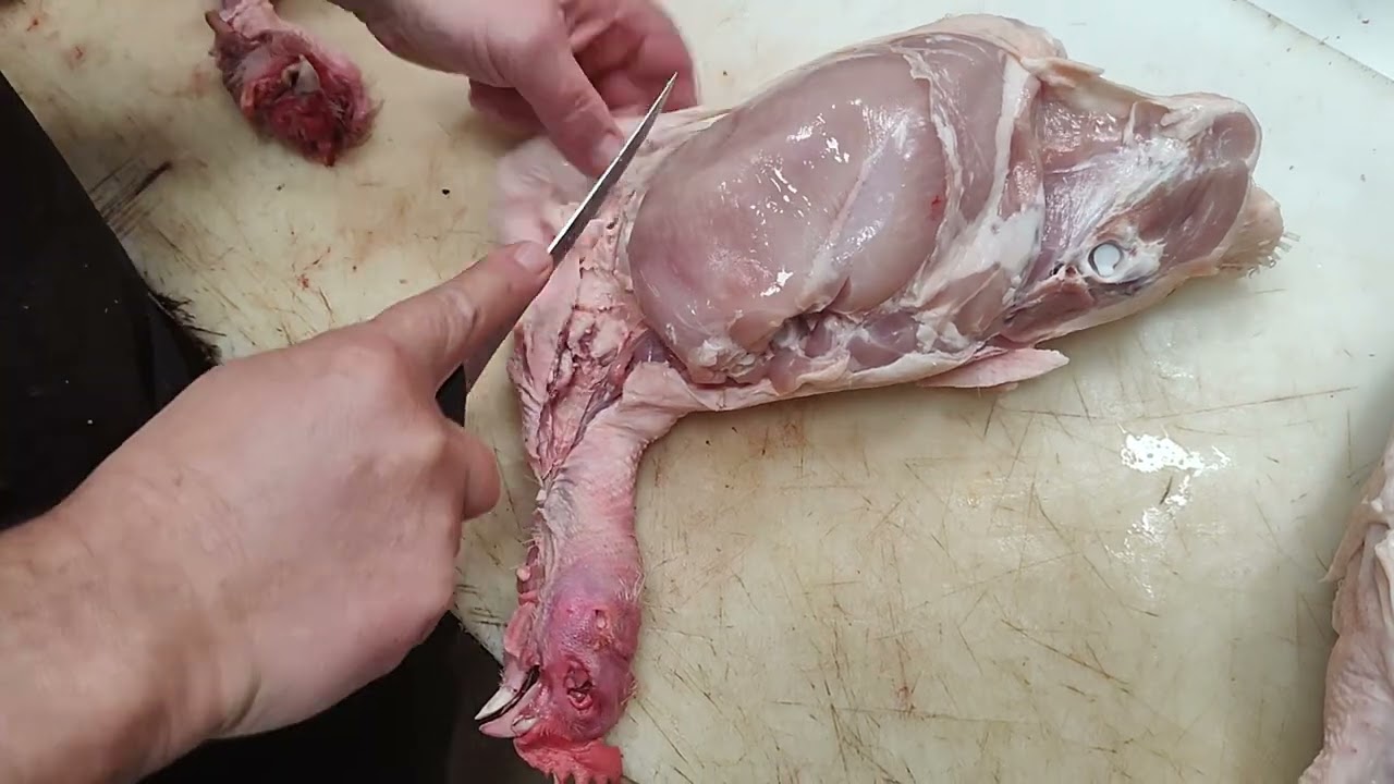 despiece de pollo