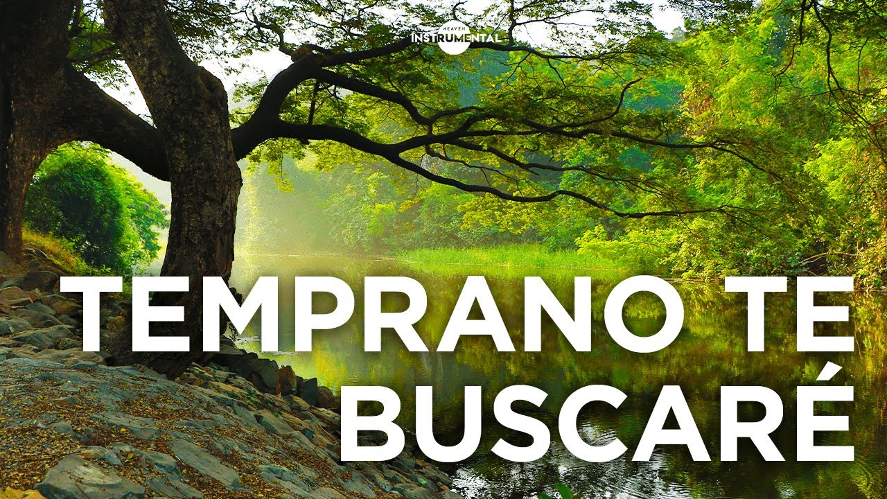 🌞🙇🏽&zwj;♂️M&uacute;sica Instrumental Cristiana 2023 - Melod&iacute;as Relajantes - Paz Mental🙇🏽&zwj;♂️🌞