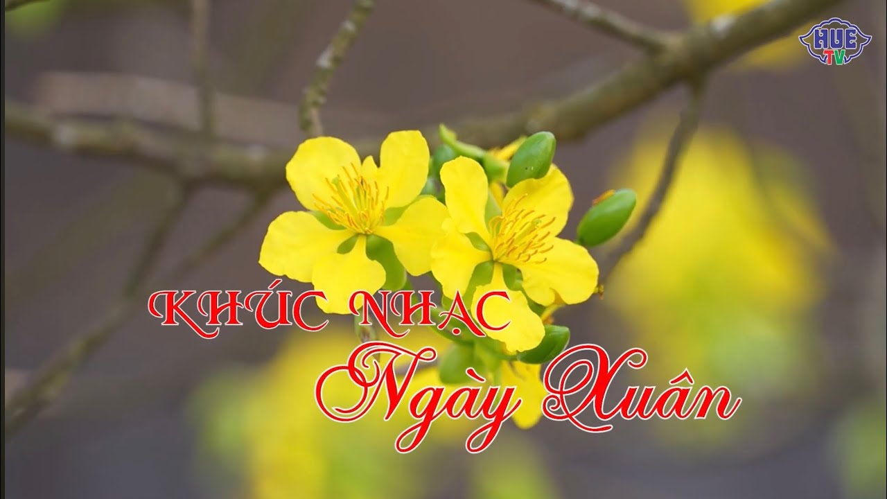 Ca Huế: KHÚC NHẠC NGÀY XUÂN