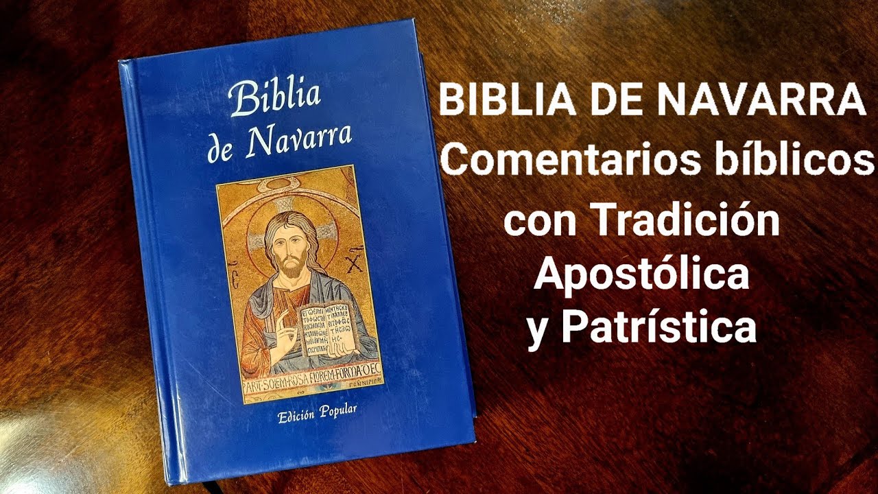 Biblia de Navarra, Analizando Textos Bíblicos