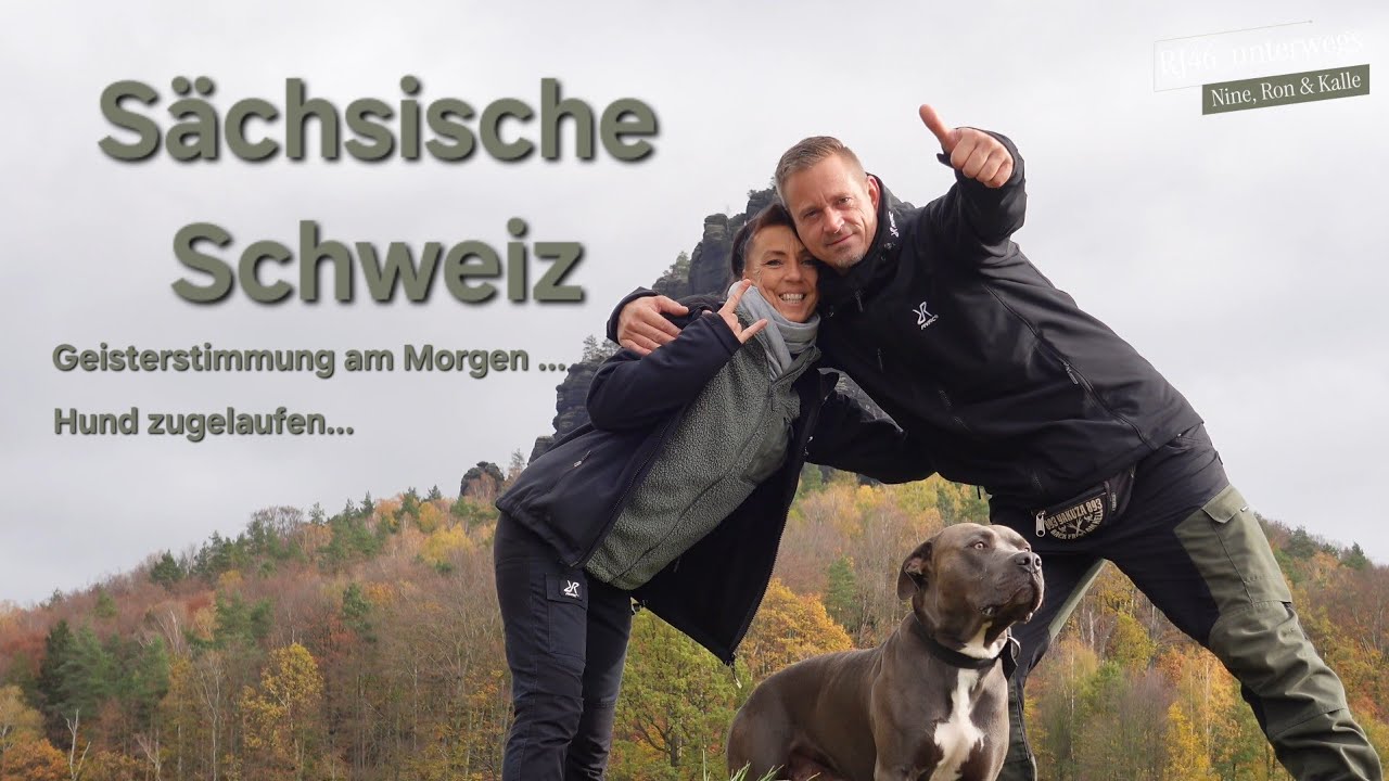 #V37 Sächsische Schweiz Vanlife vlog Autark mit Wohnmobil & Hund zwischen Pirna & Bad Schandau