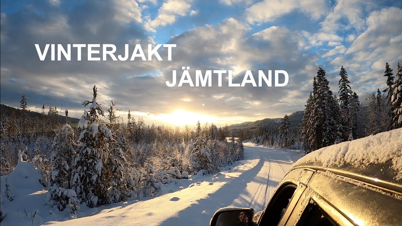 Vinterjakt j&auml;mtland
