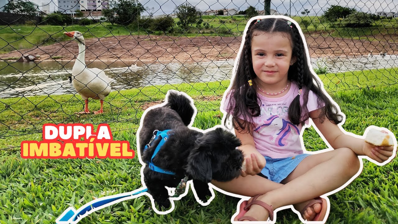 A MELHOR AVENTURA CANINA! Levamos o nosso pet no ParCão.🐾