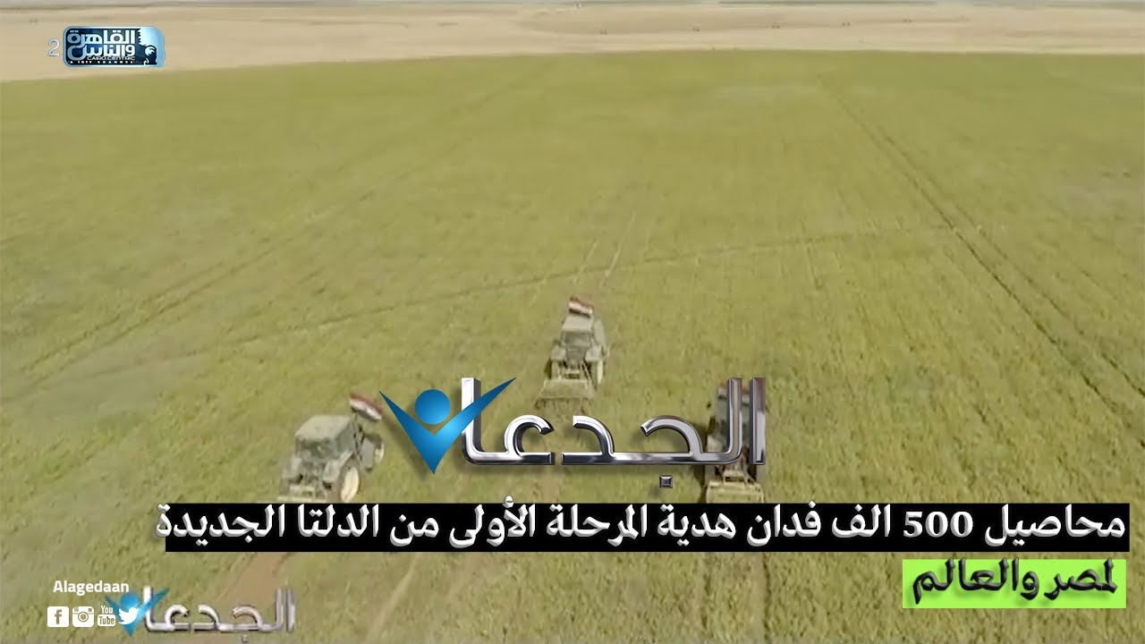 محاصيل 500 الف فدان هدية المرحلة الأولى من الدلتا الجديدة لمصر والعالم