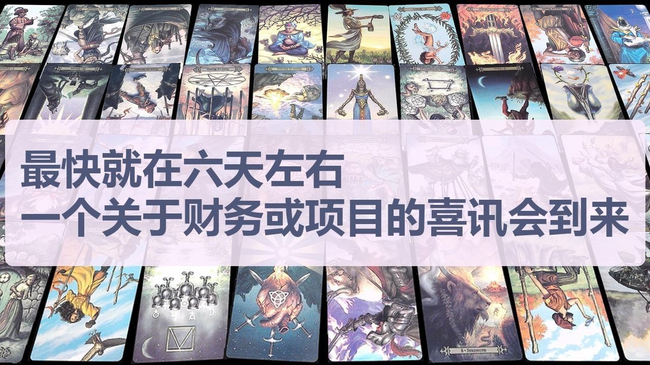 Tarot✨最快就在六天左右，一个关于财务或项目的喜讯会到来