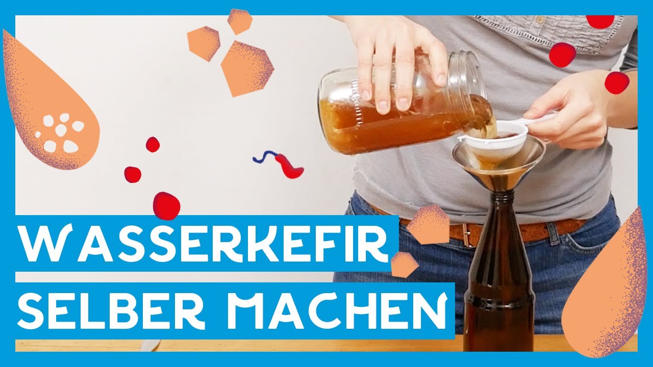 Wasserkefir selber machen 🍹 I DIY schnell und einfach I Brew it yourself!