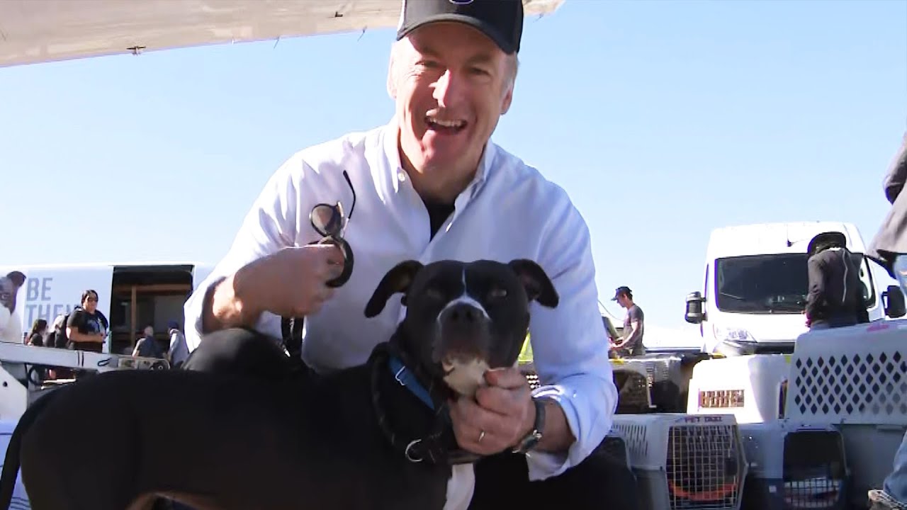 LA Fires: Bob Odenkirk Volunteers at Dog and Cat Rescue Flight (Exclusive)