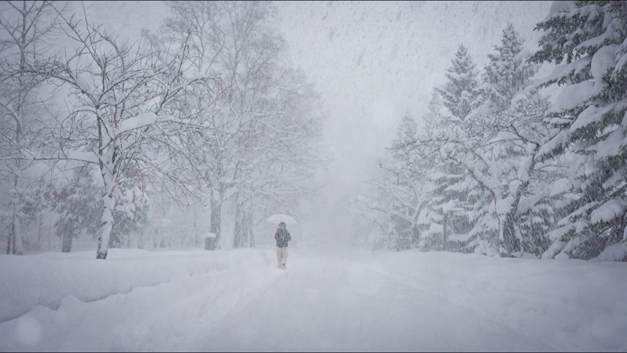 A Quiet Winter Walk in a Snowy Park | Whiteout Moments in Sapporo, Hokkiado