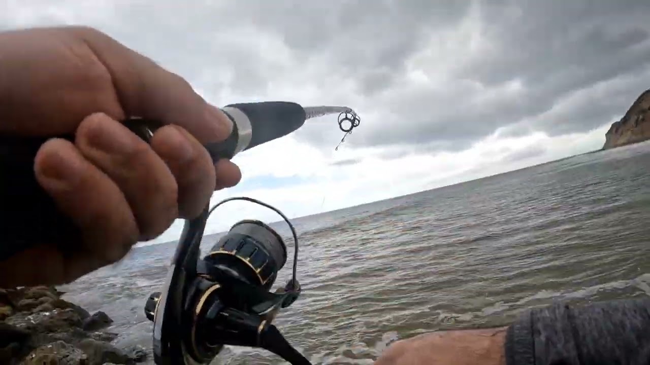 Corvina desde orilla en Manta.#fishing #gopro #fish #ecuador #daiwa