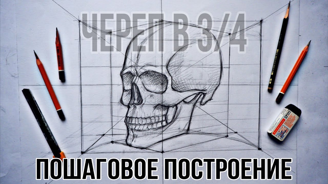 Как Нарисовать Череп в 3/4