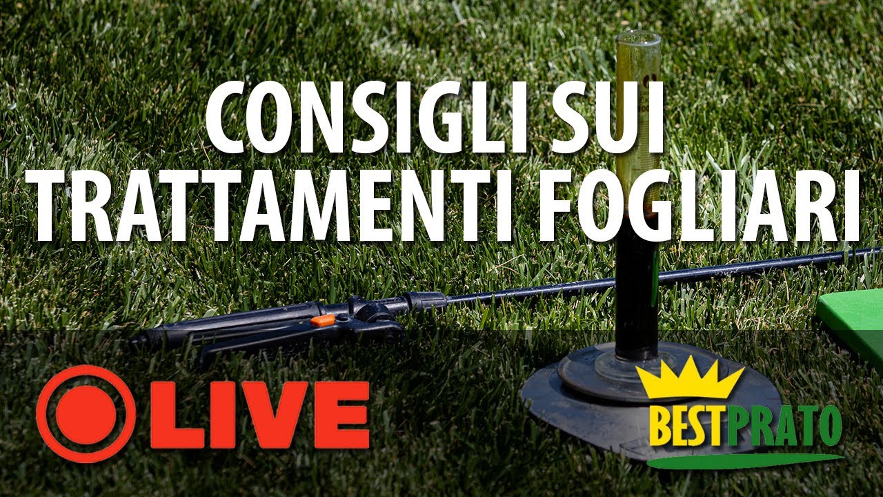 CONSIGLI E SUGGERIMENTI PER I TRATTAMENTI FOGLIARI NEL PRATO