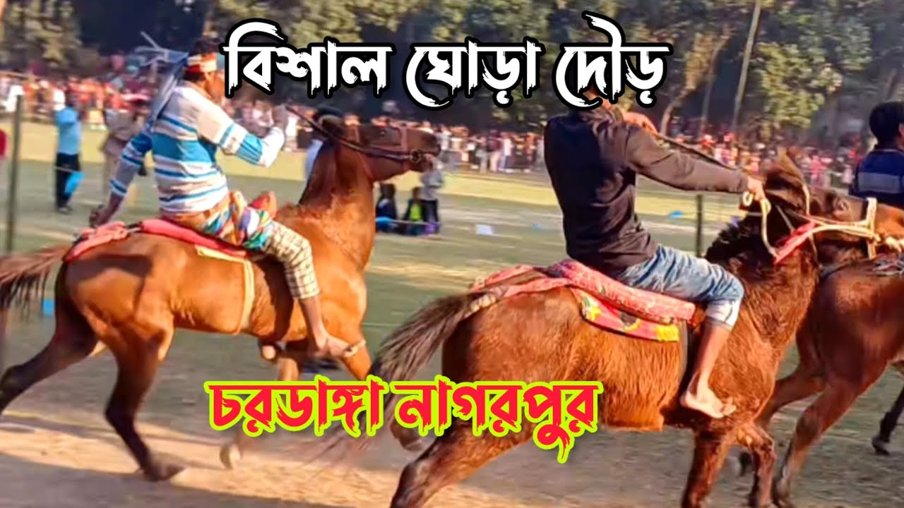 বিশাল ঘোড়া দৌড় প্রতিযোগিতা