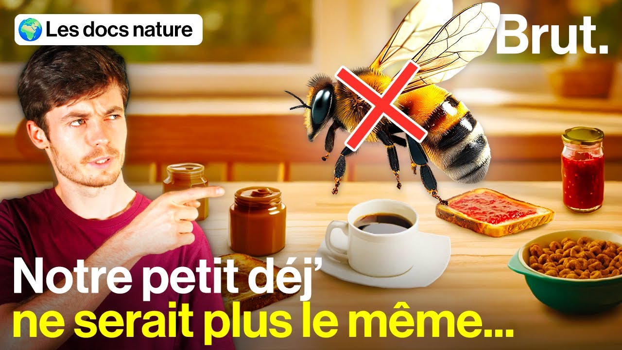 À quoi ressemblerait un monde privé d'abeilles ?