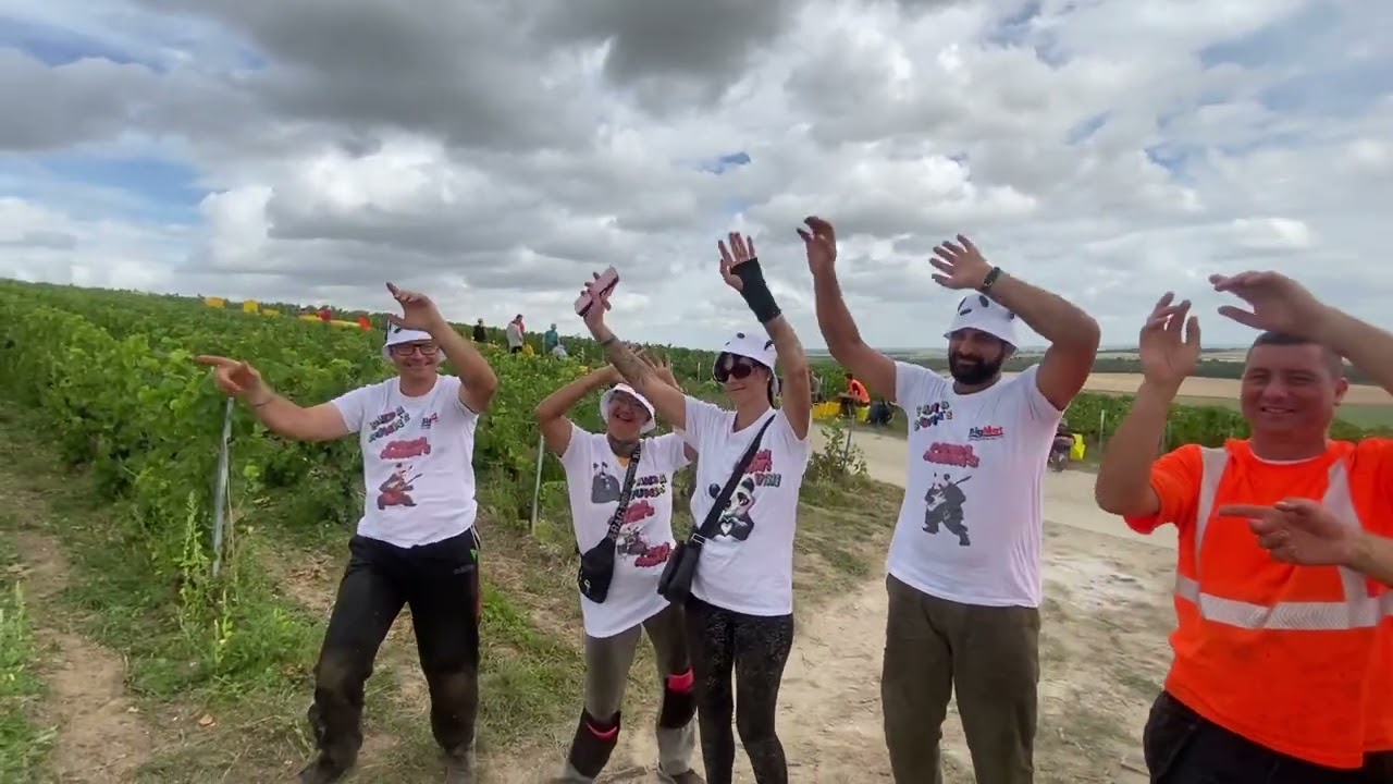 Parodie des PandaKiss 🐼 par les PandaMumm's 🍾🥂 en vendanges 🍇🍇✂️ lors des vendanges champagne Mumm