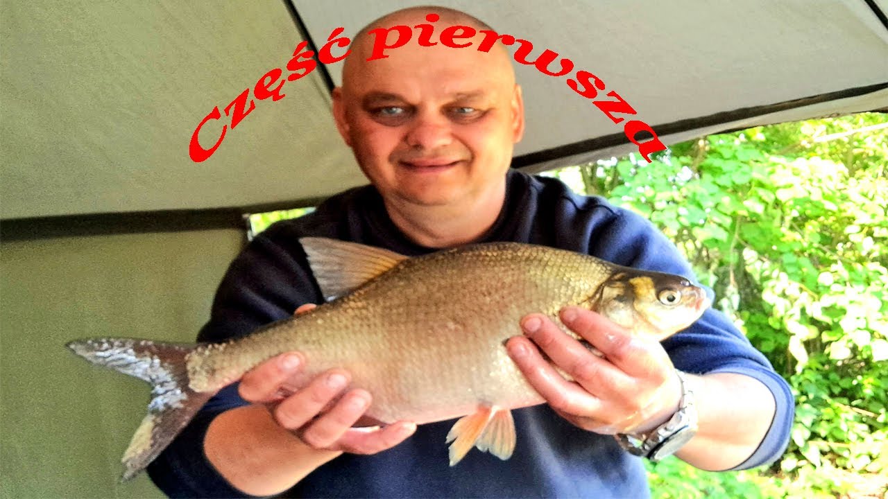 Kanał Dwory część pierwsza