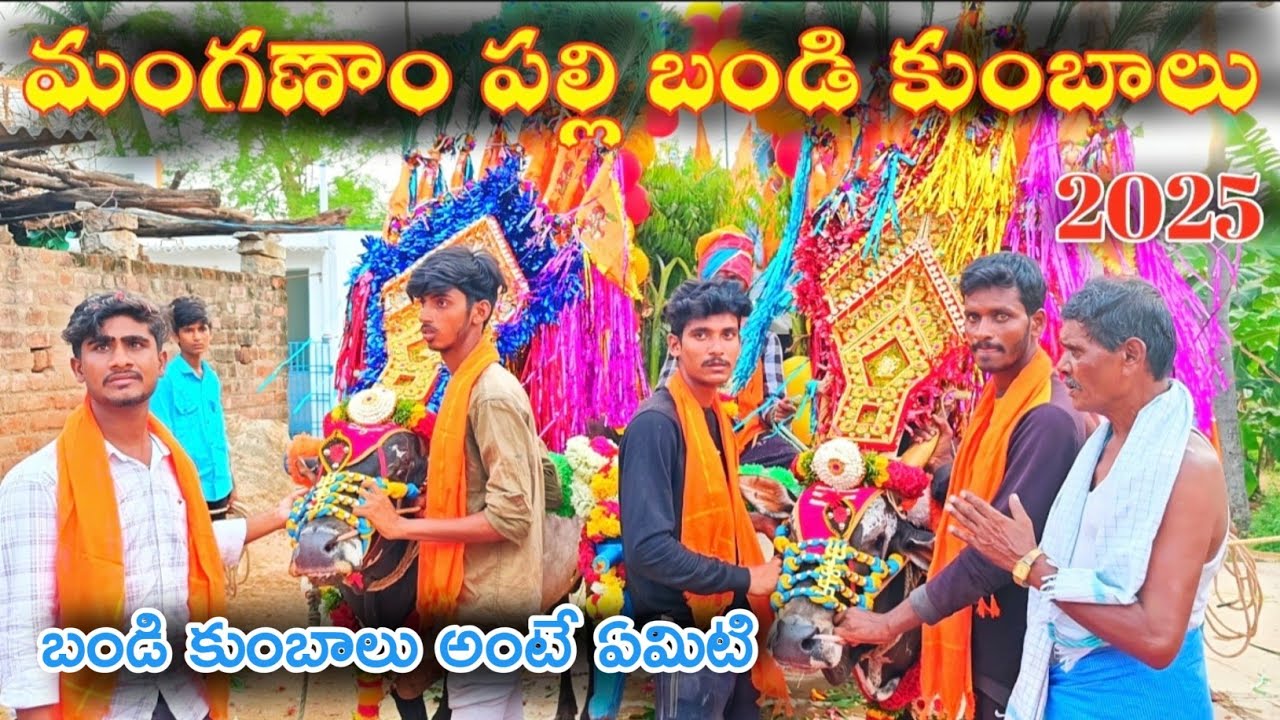 మంగణాంపల్లి బండి కుంబాలు 31/05/2025 Traditional Pasuvula Festivals 🔥#runwithvinay #jallikattu2025