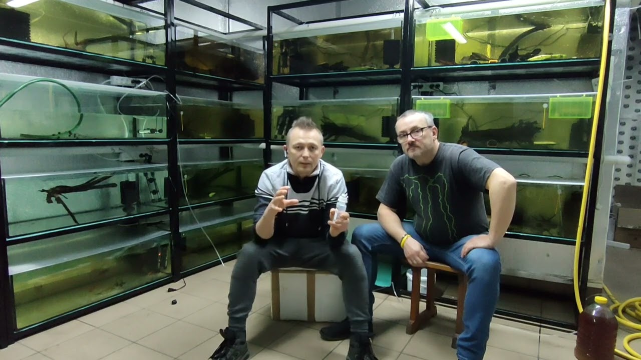 Odrobaczanie ryb