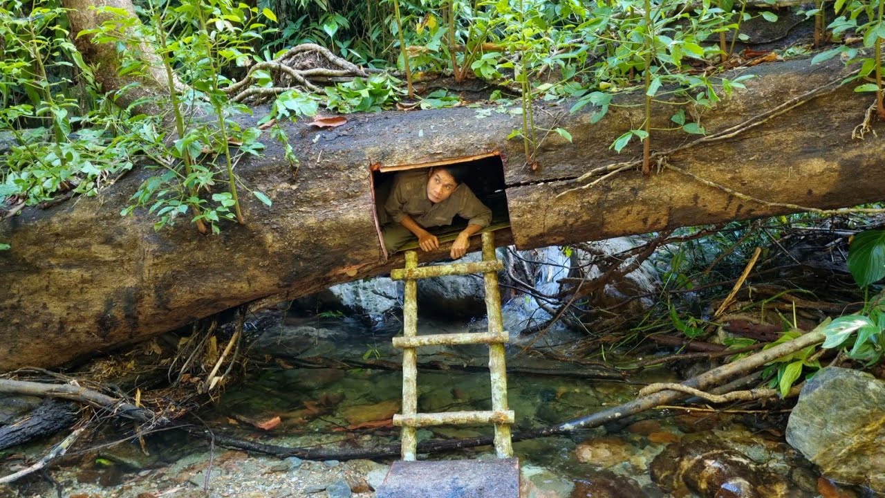 I built a Bushcraft survival house in a giant fallen tree stump on the river bank