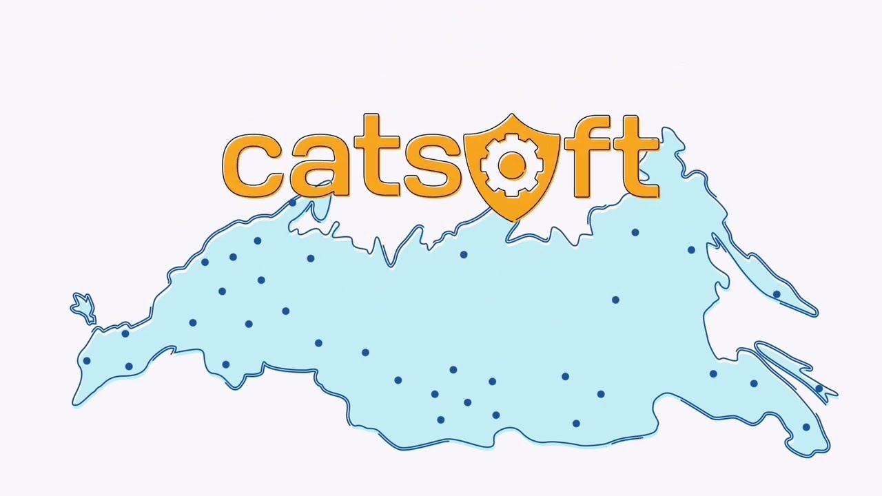 Платформа CatSoft - лучшее решение для автосервисов!