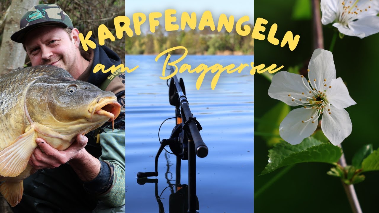 Karpfenangeln im April am Baggersee