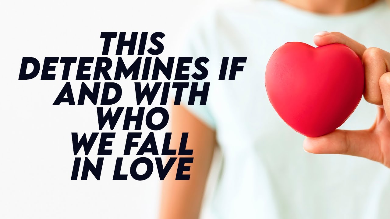 The Science of Love: 7 Key Factors That Influence Our Relationship Choices