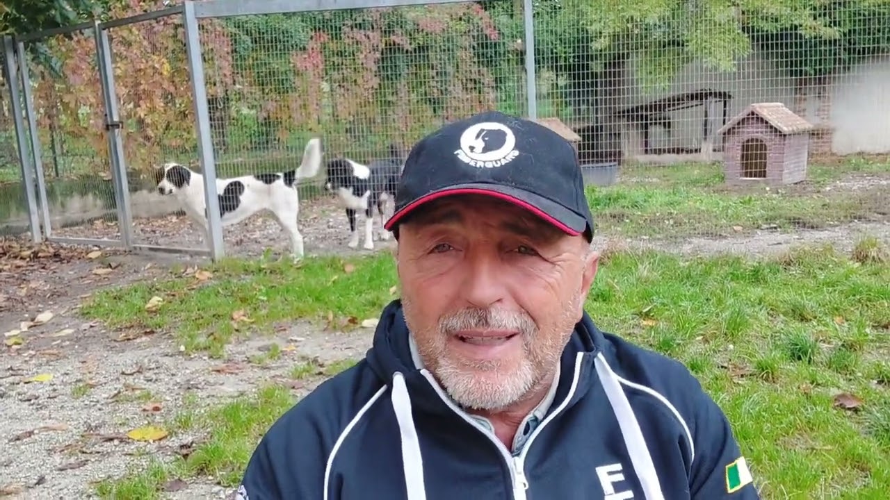 Molti credono solo di conoscere i cani! (11° e ultimo VIDEO) Hai mai pensato di fare il Cinofilo?