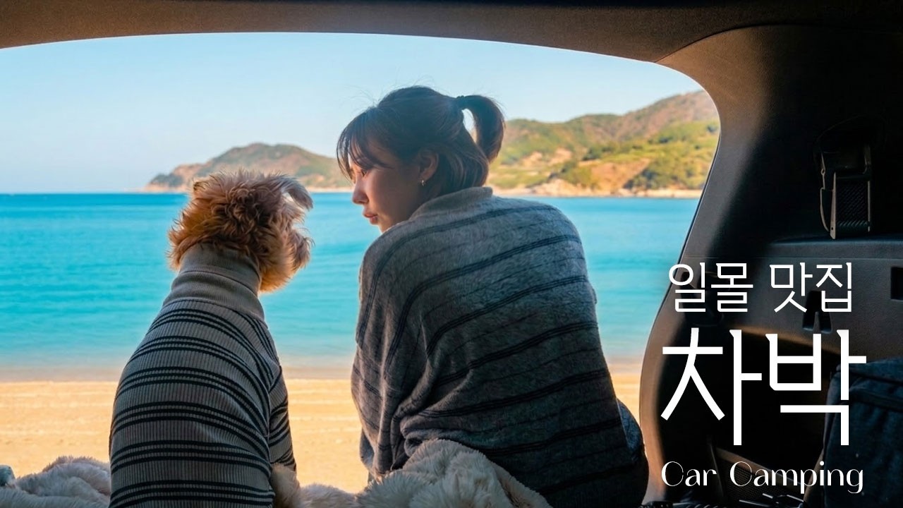 바닷가 코앞에서 강아지와 차박하기 🚙 ㅣ 겨울 차박 ㅣ솔로 차박 ㅣ 반려견 동반