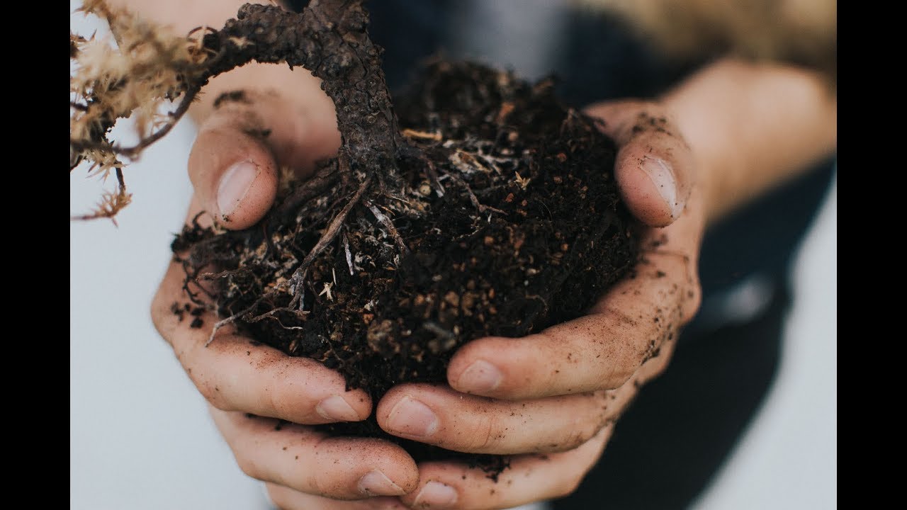 The Benefits of Humic Substances in Agriculture