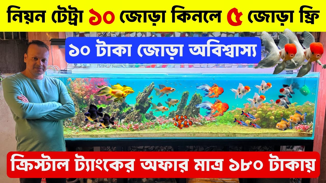 Aquarium Fish Price In Bangladesh 2025🐠Aquarium Fish Price | Aquarium | Aquarium Fish Price In BD🐠