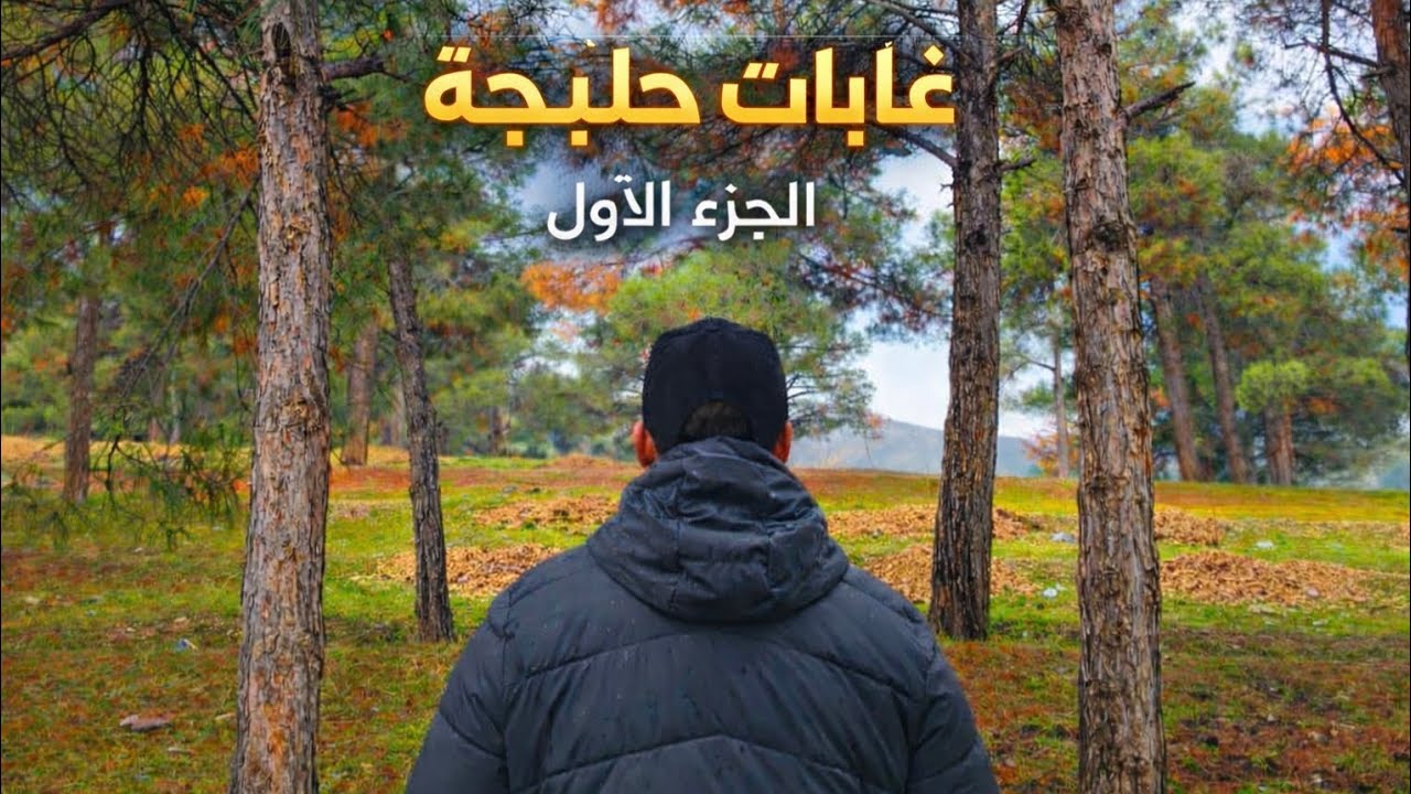 غابات حلبجة | الجزء الأول – بداية مغامرة التخييم 🌲⛺