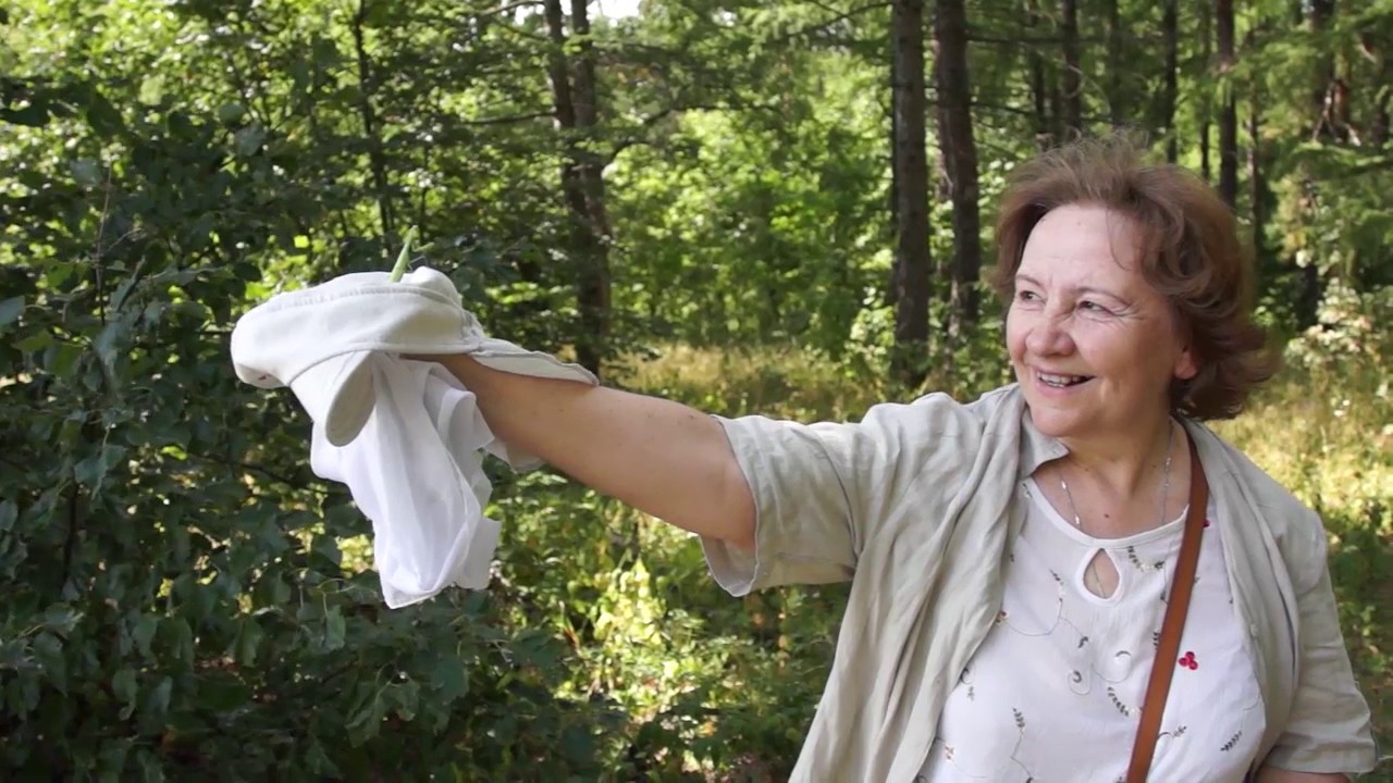 Архангельское село –  родина востоковеда Г. С. Саблукова
