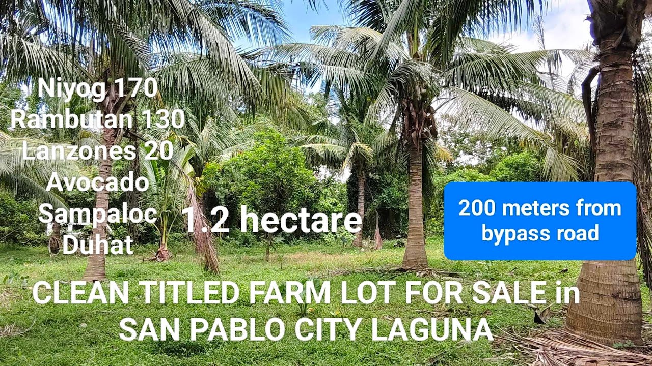 #Vlog289 CLEAN TITLED 1.2 HAS. FARM LOT FOR SALE in SAN PABLO CITY LAGUNA | ❗NOT AVAILABLE❗