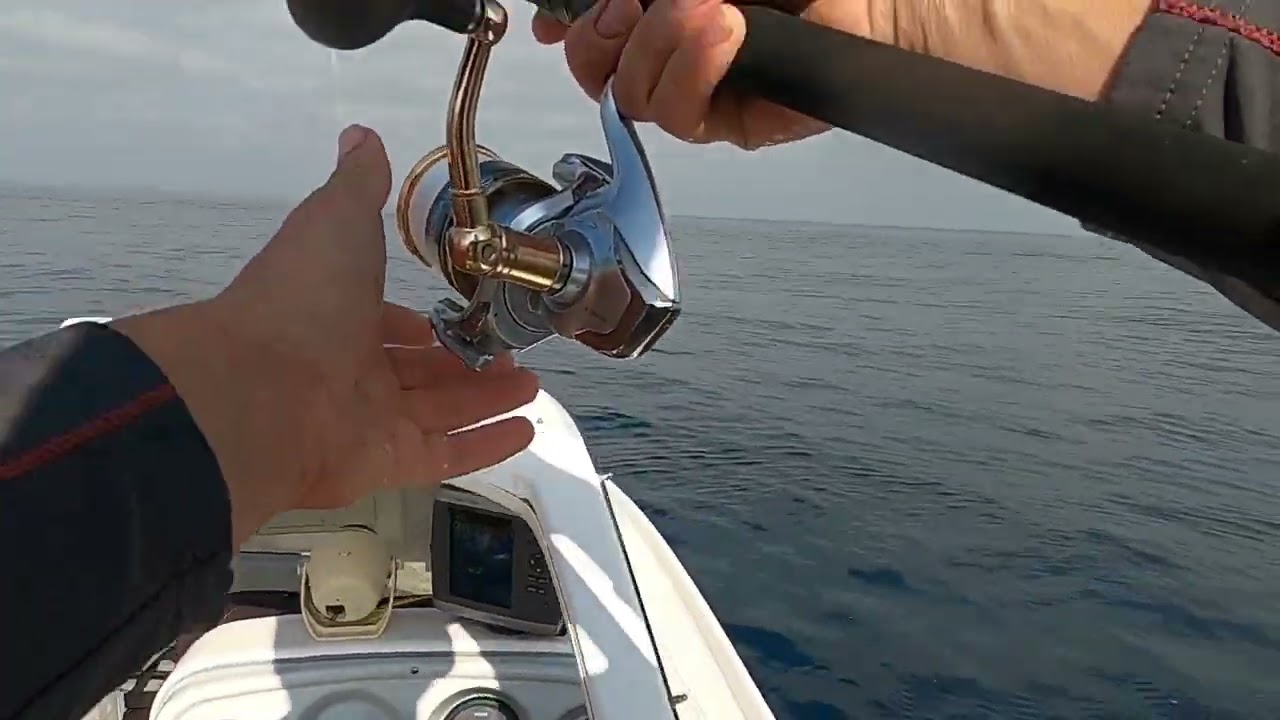 Tuna hunting. Vladivostok 2022 autumn Охота на тунца во Владивостоке 🤘🏻🤘🏻