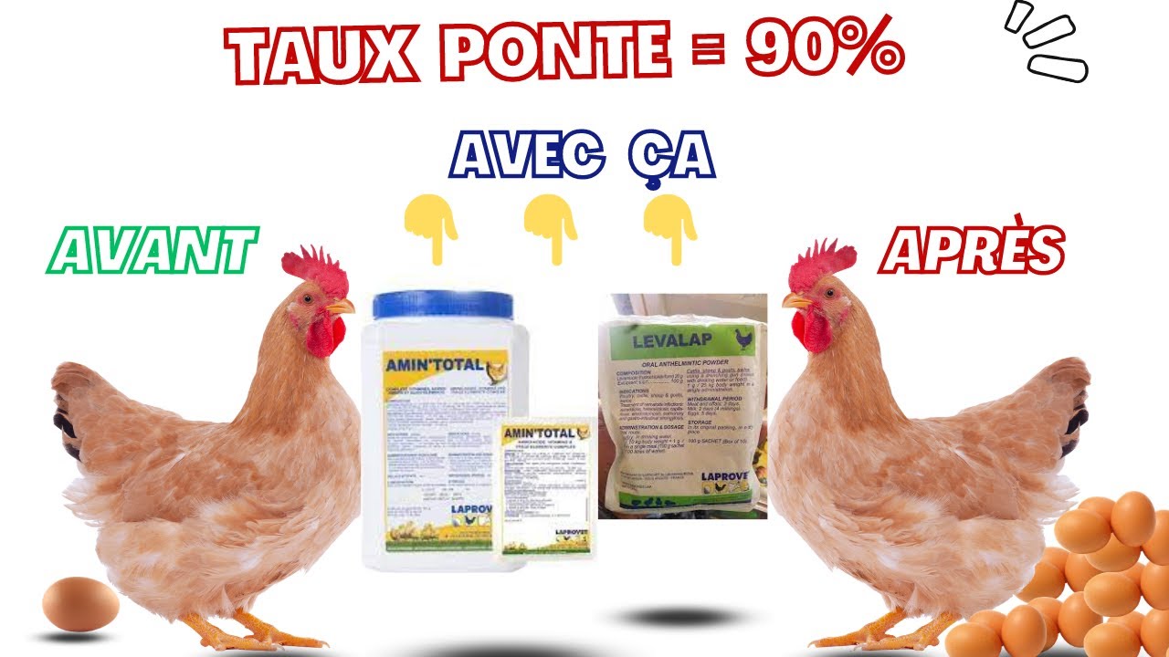 VOICI LES PRODUITS VETO QUE J'UTILISE POUR BOOSTER LA PONTE ET LA SANTE DE MES PONDEUSES
