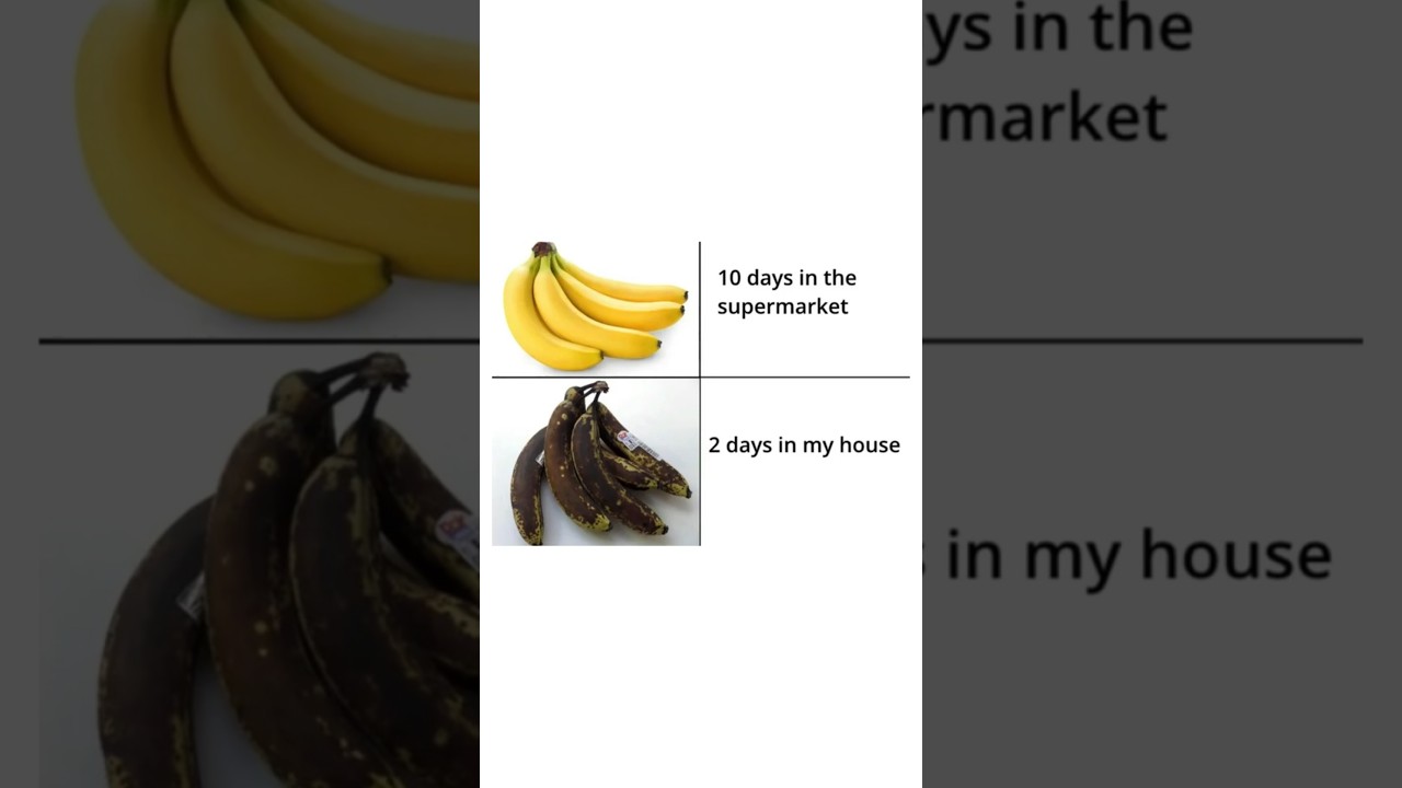 Memes That Are Fresher Than These Bananas