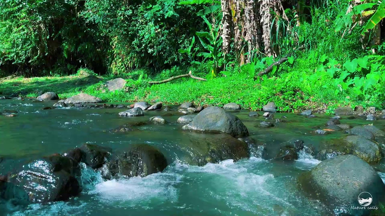 River Ambience | River Flow Ambience 24/7 | Relaxing Stream Sounds for Sleep, Calm Mind & Meditation