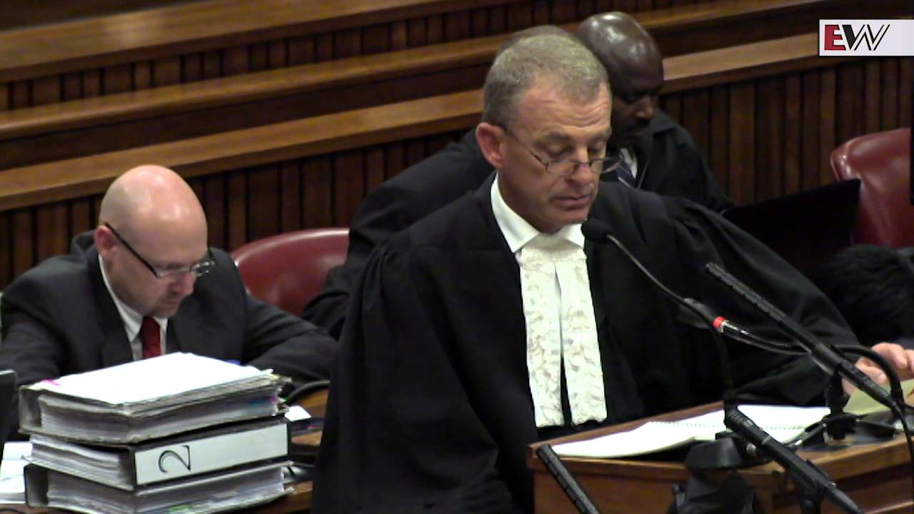 Gerrie Nel wraps up cross-examination