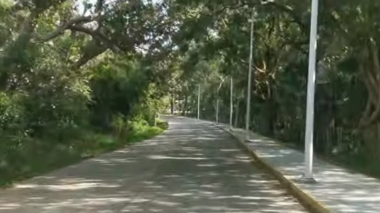 DE TAMPICO ALTO VER. A LA RIVERA ZONA RESTAURANTERA Y LAGUNA DE TAMIAHUA #VAMOSX1000