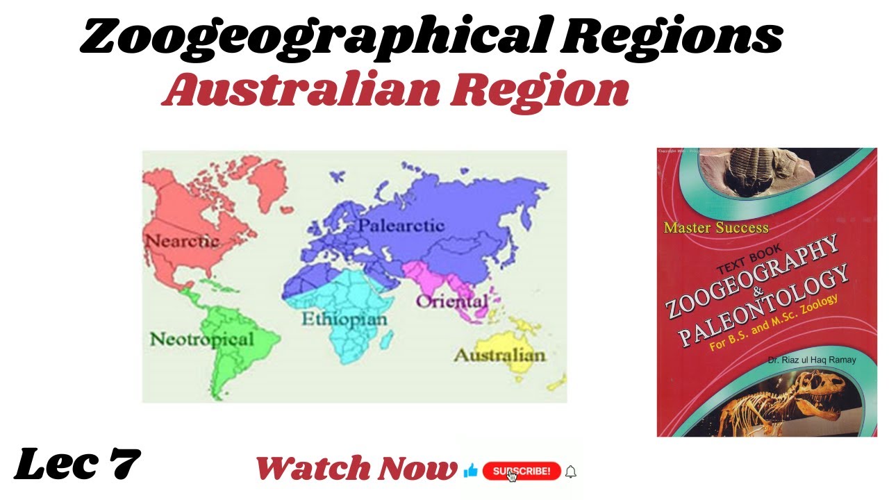 Australian Region Lec 7/ Zoogeographical Realm