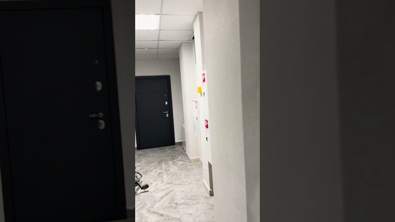 3 февраля 2026 г.