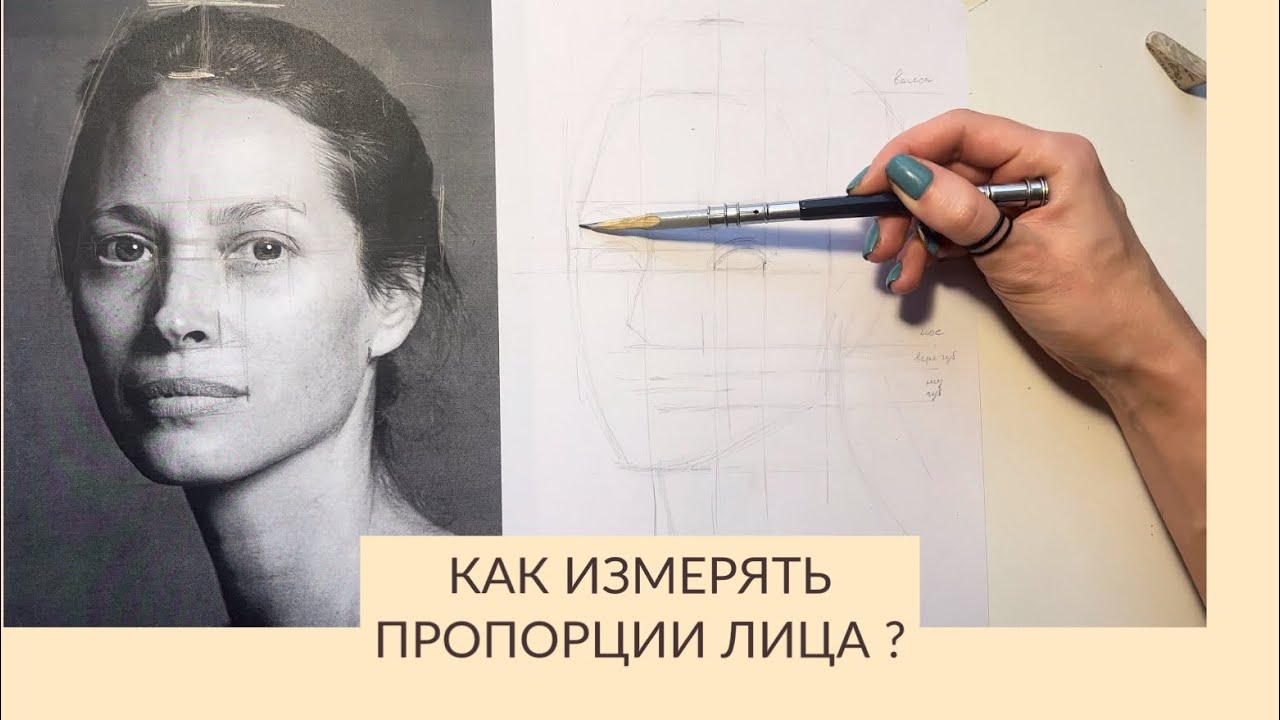 Как измерять пропорции лица человека?